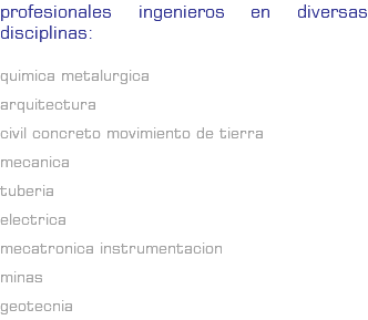 Profesionales ingenieros en diversas disciplinas: Quimica Metalurgica Arquitectura Civil Concreto Movimiento de tierra Mecanica Tuberia Electrica Mecatronica Instrumentacion Minas Geotecnia
